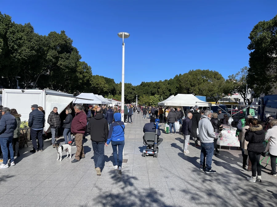 Sunday Market at Gandía Beach