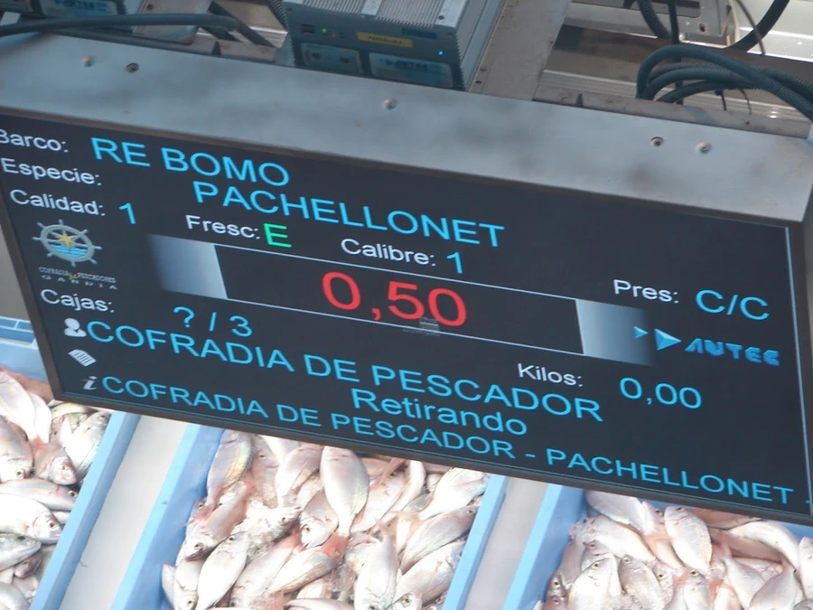 Gandia fish market