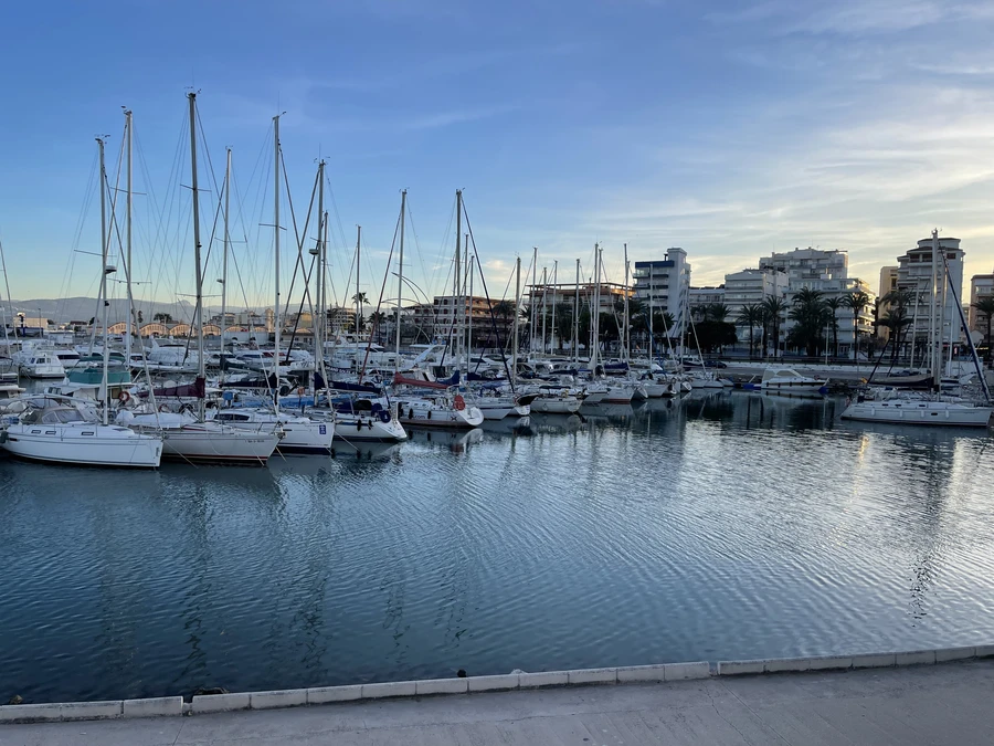 Gandia marina